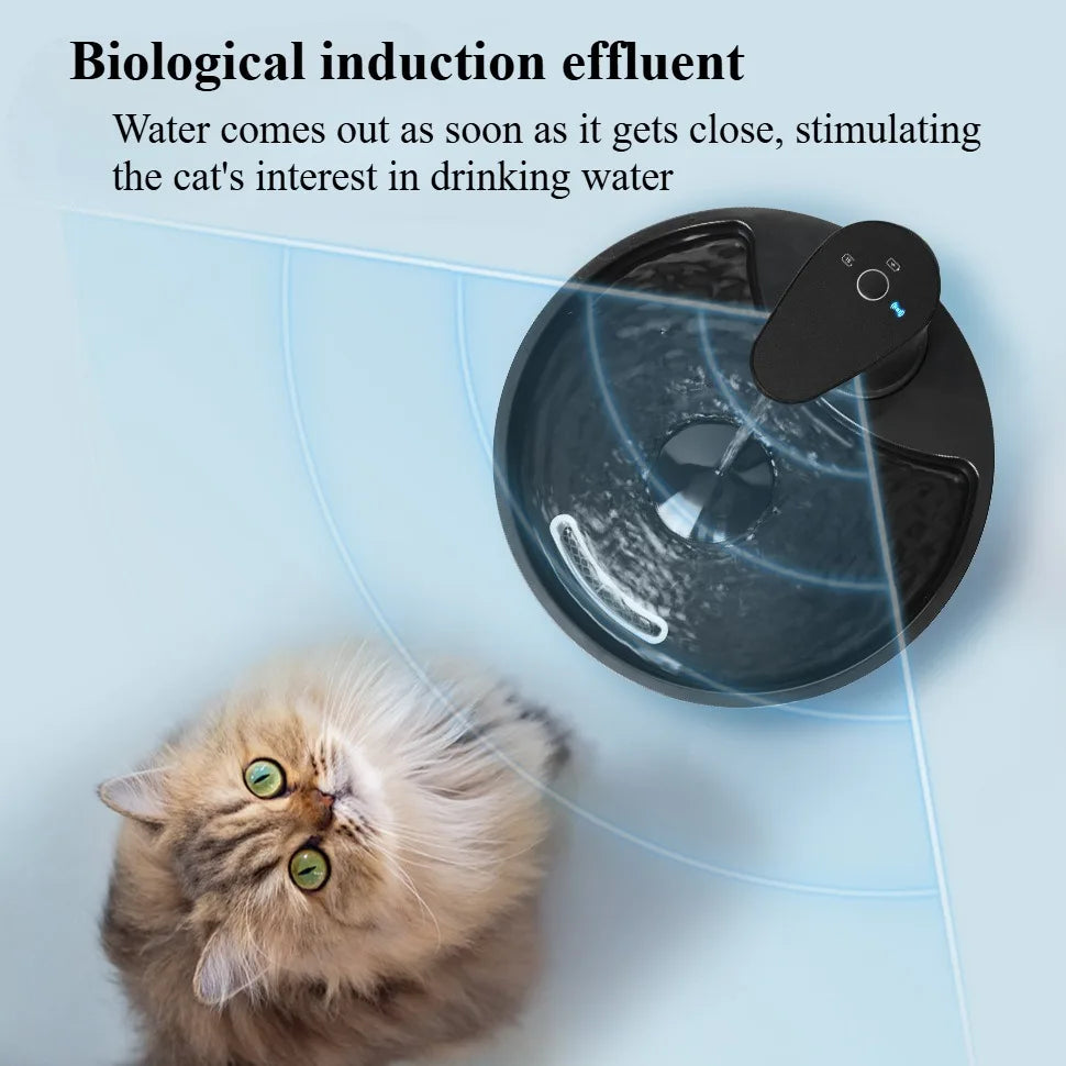 Automatic Pet Water Fountain / Dispenser