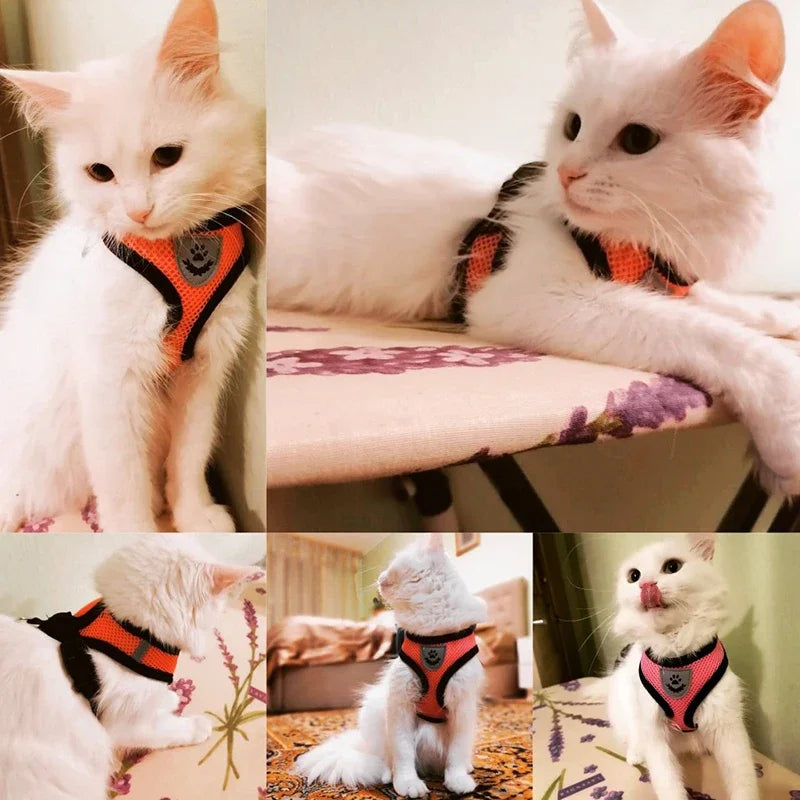 Breathable, Reflective Dog Harness